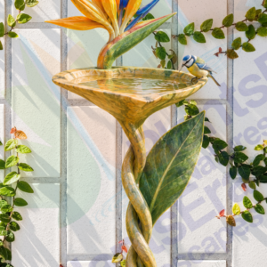 Birdbath
